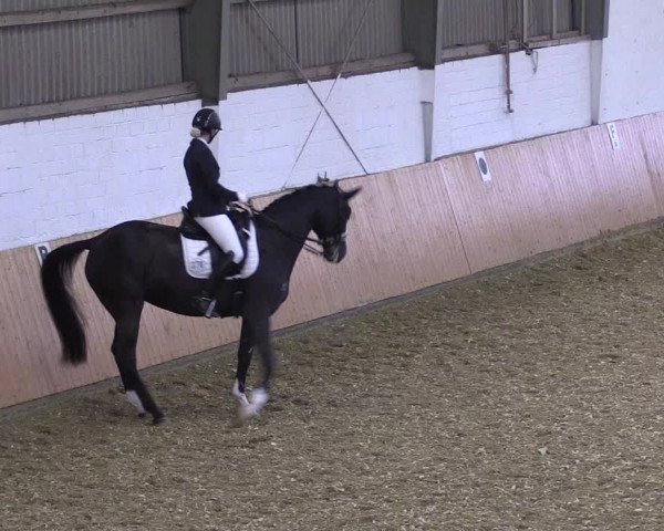 Reitturnier Datteln 2021