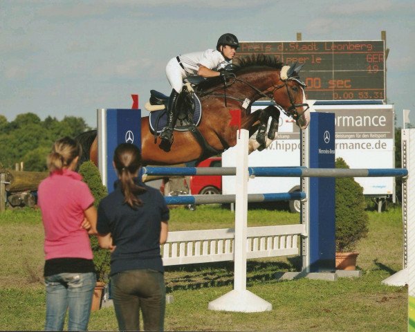 jumper Alegro 100 (Württemberger, 2002, from Araconit)