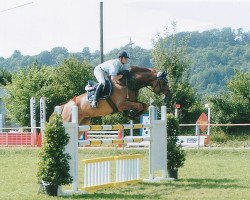 jumper Lorenzo 156 (Oldenburg, 1995, from Lapis Lazuli)