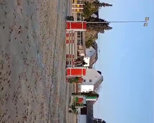 Video of Kazimir le Brise-Coer