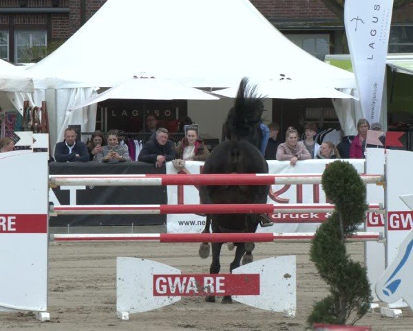 Lenklarer Reitertage Werne 2025