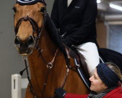 jumper Ruby van de Warande (Belgian Warmblood, 2017, from Matisse de Mariposa)