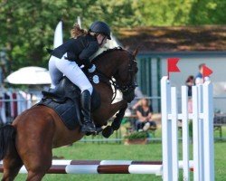 Springpferd Monacco 7 (Deutsches Reitpony, 2018, von Monopoly SG)