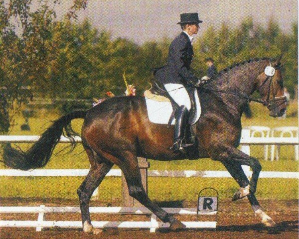 dressage horse Lakkolith 4 (Holsteiner, 2000, from Leandro)
