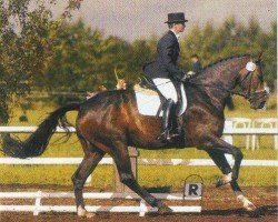 dressage horse Lakkolith 4 (Holsteiner, 2000, from Leandro)