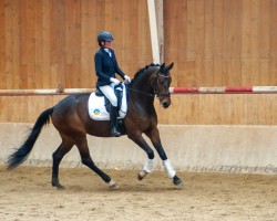 broodmare Liv Love (Oldenburg, 2016, from Licotus)