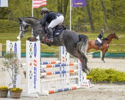 jumper Unleash the Lion (Holsteiner, 2020, from Crack)