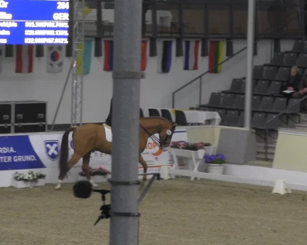VER-Dinale 2014