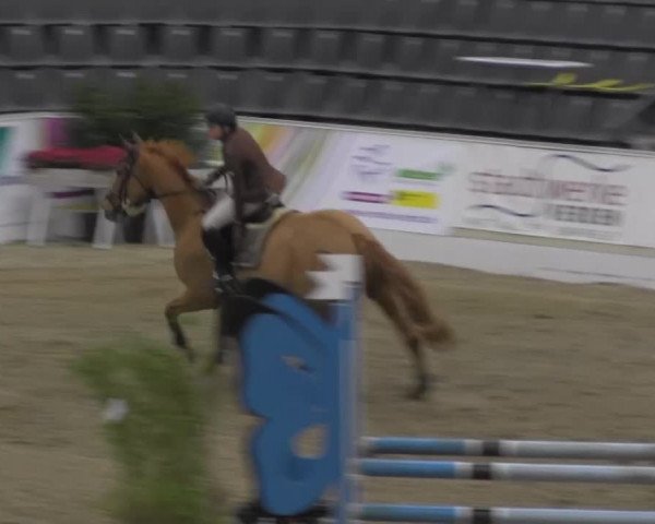 VER-Dinale 2014