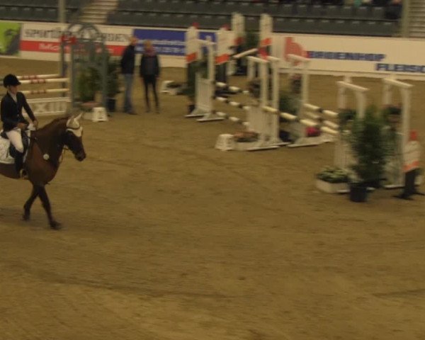 VER-Dinale 2014