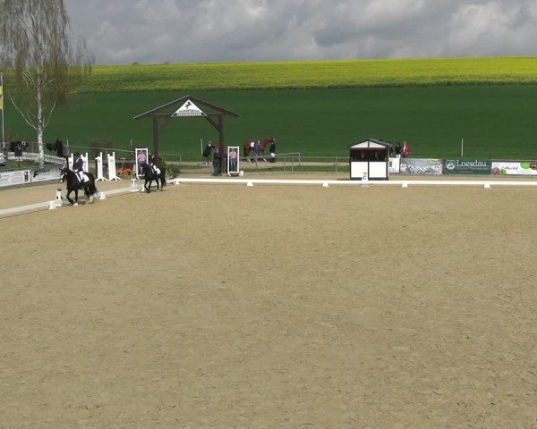 Reitturnier Duderstadt 2025