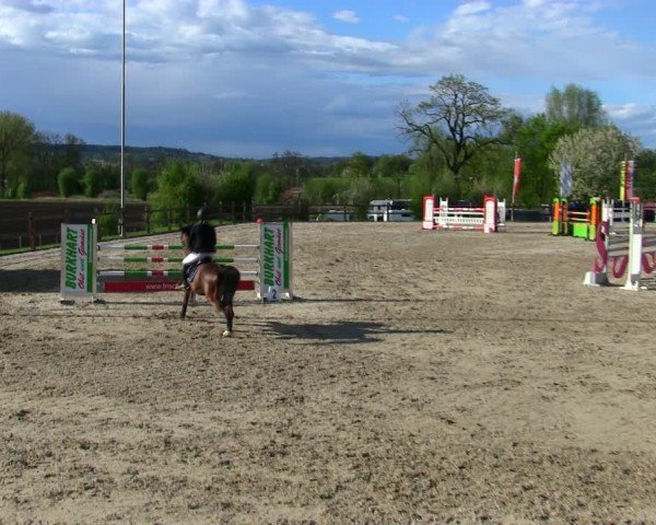Reitturnier Pöttmes - Gut Sedlbrunn/Schw. 2025