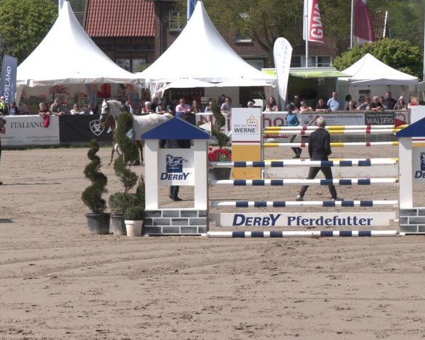 Hengstschau Lenklarer Reitertage 2025
