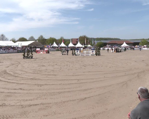 Hengstschau Lenklarer Reitertage 2025