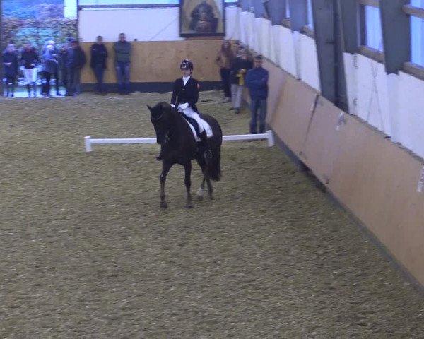 Reitturnier Datteln 2021
