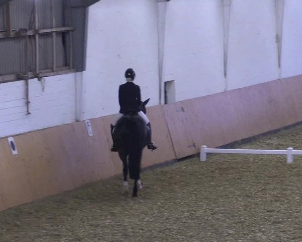 Reitturnier Datteln 2021