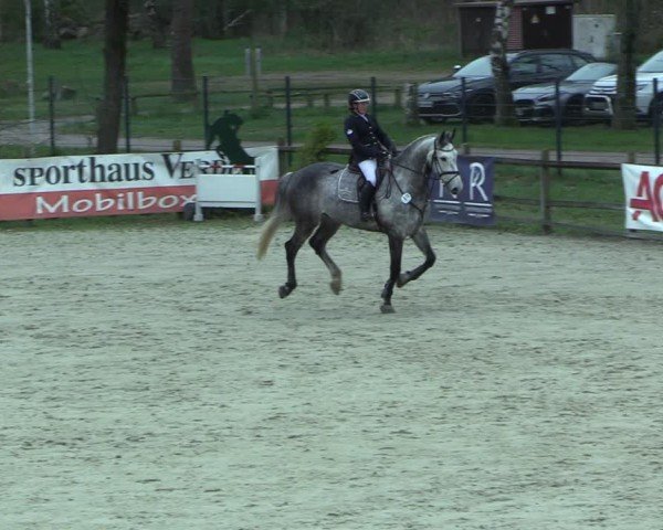 Reitturnier Westergellersen 2025