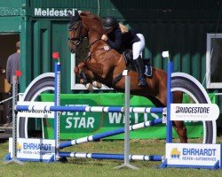 jumper Der Lord 28 (Oldenburg, 2010, from Duke of Hearts xx)
