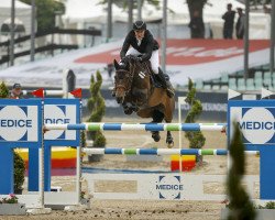 jumper Casalia R (Holsteiner, 2011, from Casall Ask)