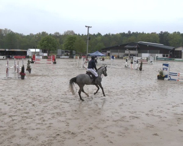 Reitturnier Olfen 2025