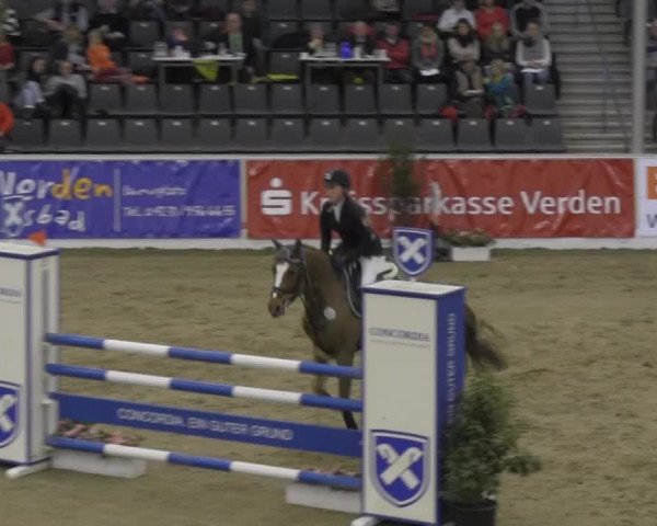 VER-Dinale 2014