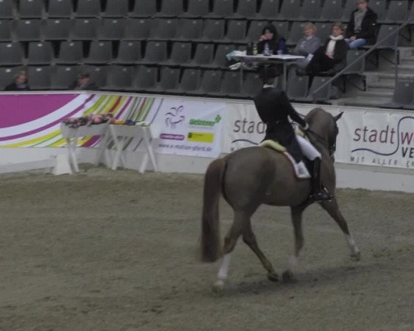 VER-Dinale 2014