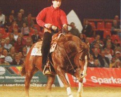 stallion Snapper Cal Bar (Quarter Horse, 1981, from Cal Bar)