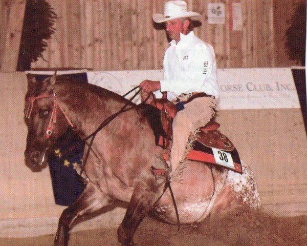 Pferd Spotted Power On Top (Appaloosa, 2001, von Jacs on Top)