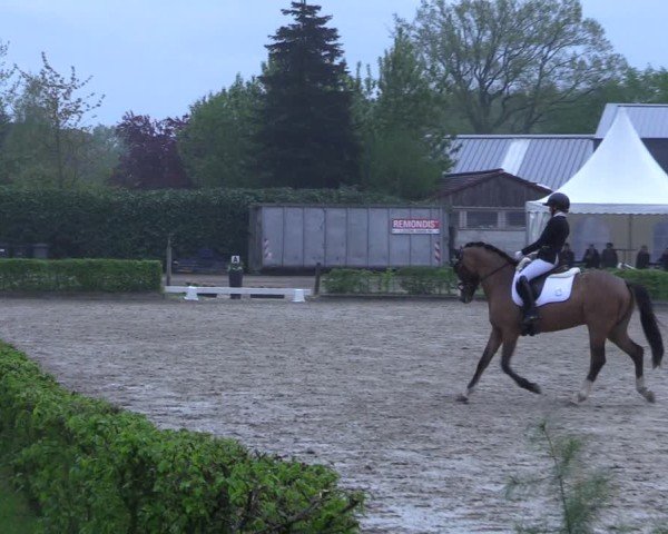 Reitturnier Olfen 2025