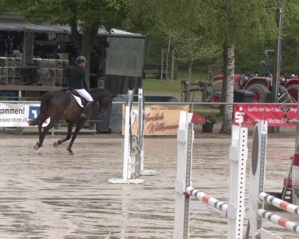 Reitturnier Olfen 2025
