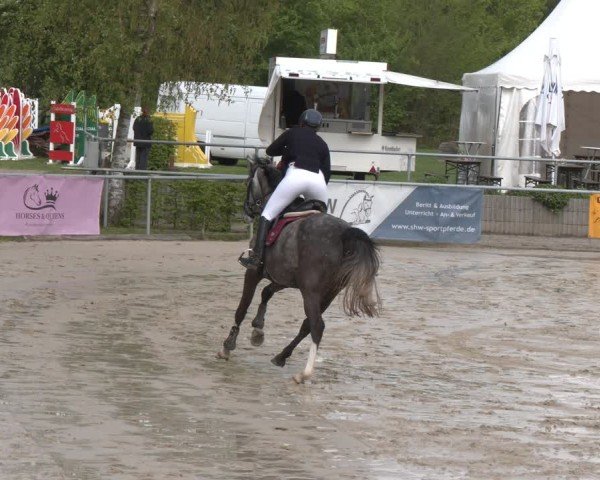 Reitturnier Olfen 2025