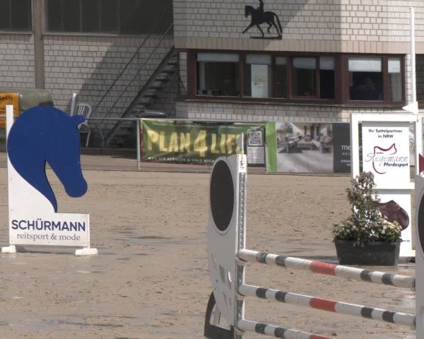 Reitturnier Olfen 2025