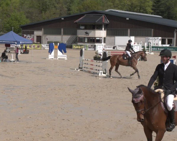 Reitturnier Olfen 2025