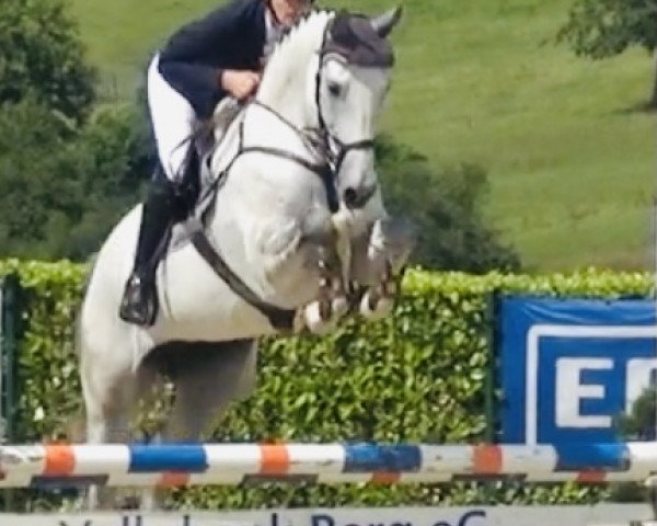 jumper Coco Chanel 251 (Württemberger, 2011, from Cero)