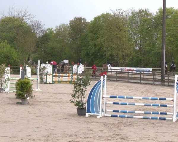 Reitturnier Nienberge 2025