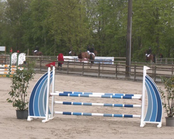 Reitturnier Nienberge 2025