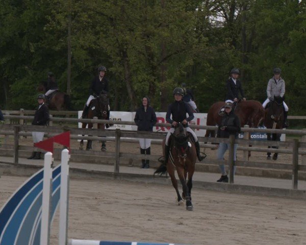 Reitturnier Nienberge 2025