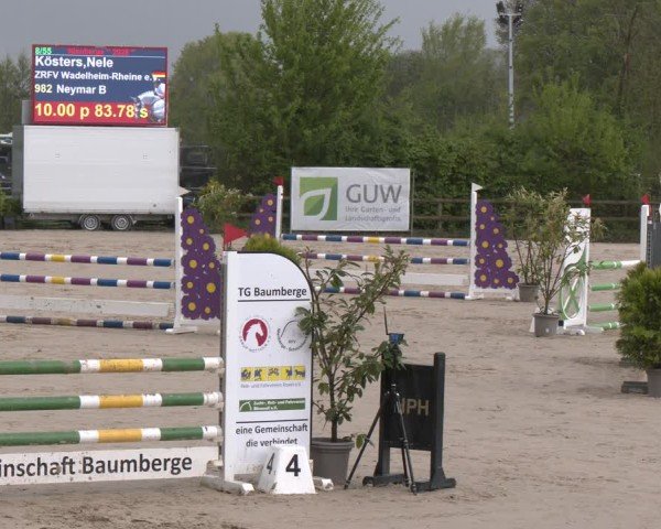 Reitturnier Nienberge 2025
