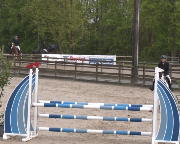 Reitturnier Nienberge 2025