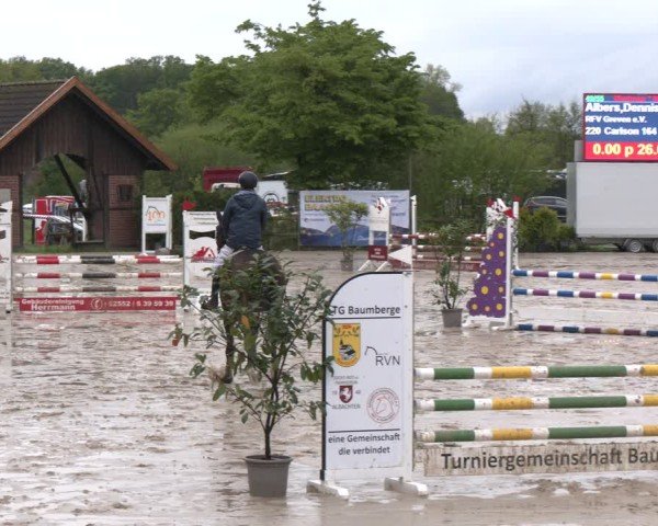 Reitturnier Nienberge 2025
