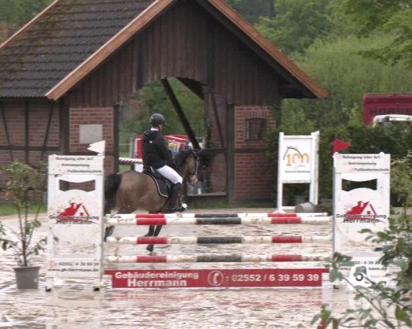 Reitturnier Nienberge 2025