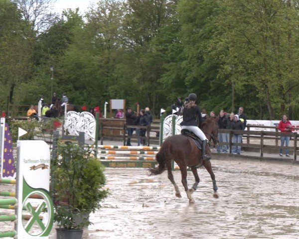 Reitturnier Nienberge 2025