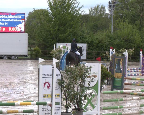Reitturnier Nienberge 2025