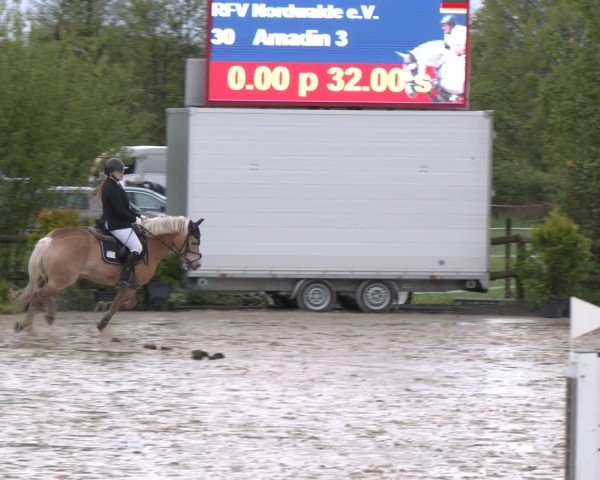 Reitturnier Nienberge 2025