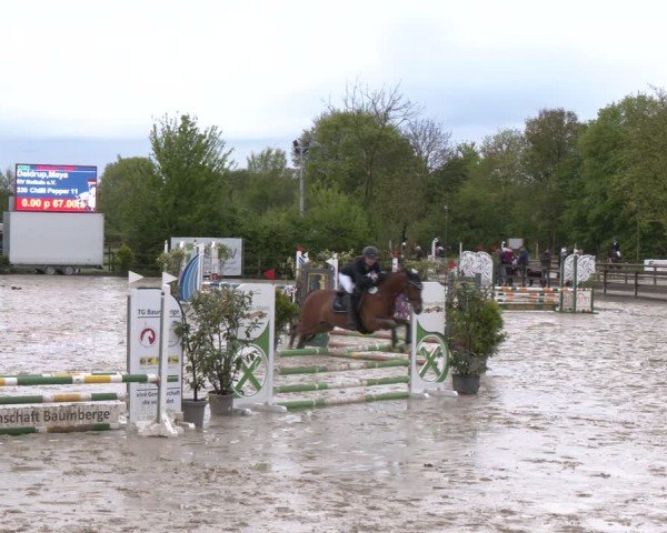 Reitturnier Nienberge 2025
