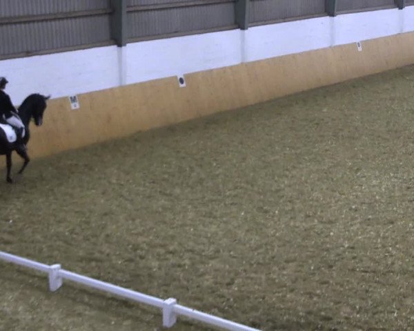 Reitturnier Datteln 2021
