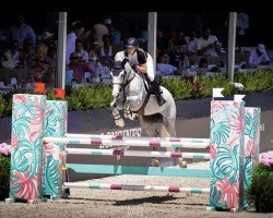 jumper Johannes 25 (KWPN (Royal Dutch Sporthorse), 2014, from Durango VDL)