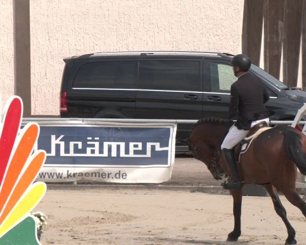 Reitturnier Olfen 2025