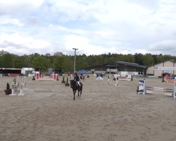 Reitturnier Olfen 2025