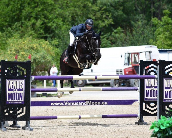 Springpferd Luuk (KWPN (Niederländisches Warmblut), 2016, von Hotspot)